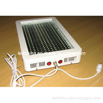 300wx1w LED Plant Light